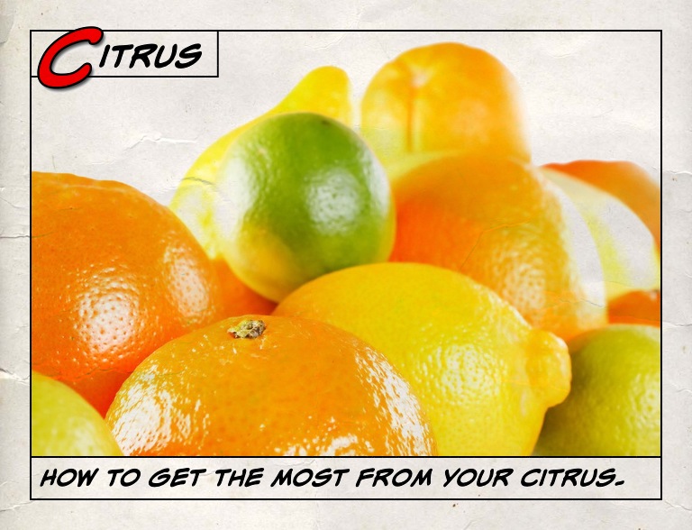 citrus tab